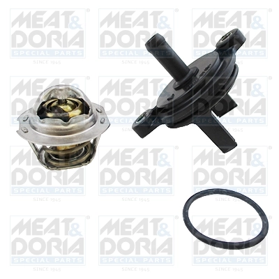 Thermostat, coolant